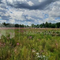 5 соток, участок - изображение 2