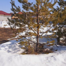 10 соток, участок - изображение 5