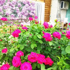 дом + 5,9 сотки, участок - изображение 1