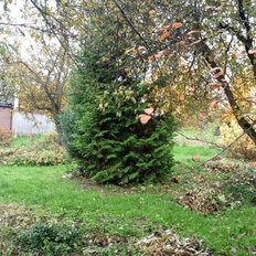 11,7 сотки, участок - изображение 4