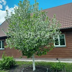 дом + 21 сотка, участок - изображение 5