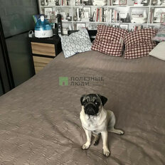 Квартира 37,5 м², 1-комнатная - изображение 2