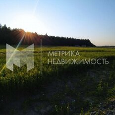 5 соток, участок - изображение 3