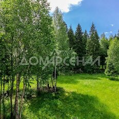 41 сотка, участок - изображение 1