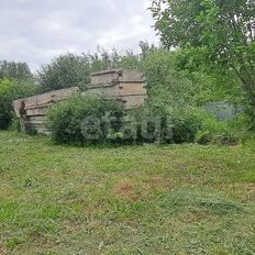 8 соток, участок - изображение 4