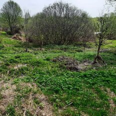 4 сотки, участок - изображение 1