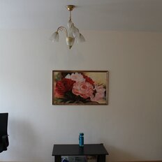 Квартира 28,1 м², студия - изображение 4