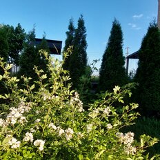 таунхаус + 3 сотки, участок - изображение 1