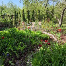 дом + 11 соток, участок - изображение 1