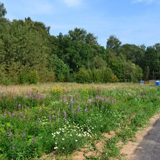 8 соток, участок - изображение 4