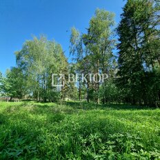 7,6 сотки, участок - изображение 5