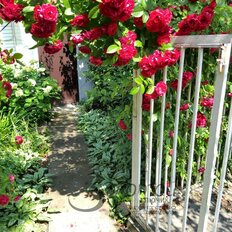 дом + 6,7 га, участок - изображение 2