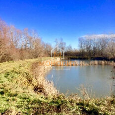 1,6 га, участок - изображение 1