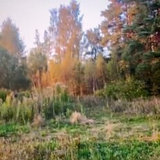 25,2 сотки, участок - изображение 4