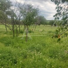 20 соток, участок - изображение 2
