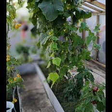 дом + 15 соток, участок - изображение 1