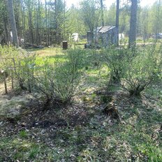 9,5 сотки, участок - изображение 3