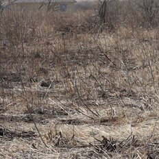 10 соток, участок - изображение 1