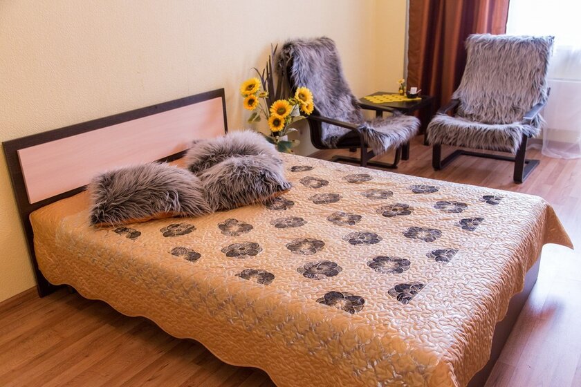 25 м², 1-комнатная квартира 1 800 ₽ в сутки - изображение 47