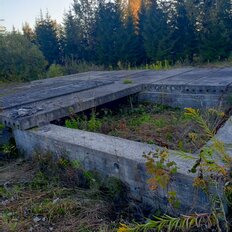 15 соток, участок - изображение 3