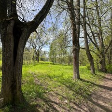 10,3 сотки, участок - изображение 5