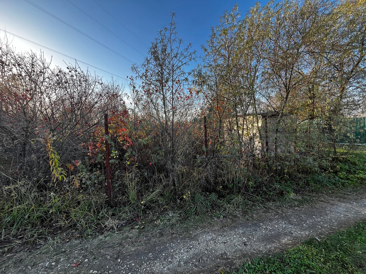 Дом 10 м² в СДТ Ручеёк — фото 6 из 20