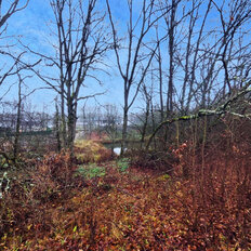 5 соток, участок - изображение 2