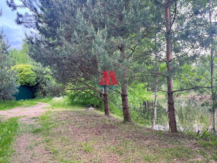 43 сотки, участок 750 000 ₽ - изображение 48
