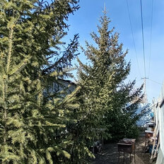 дом + 6 соток, участок - изображение 3