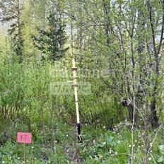 20,8 сотки, участок - изображение 4