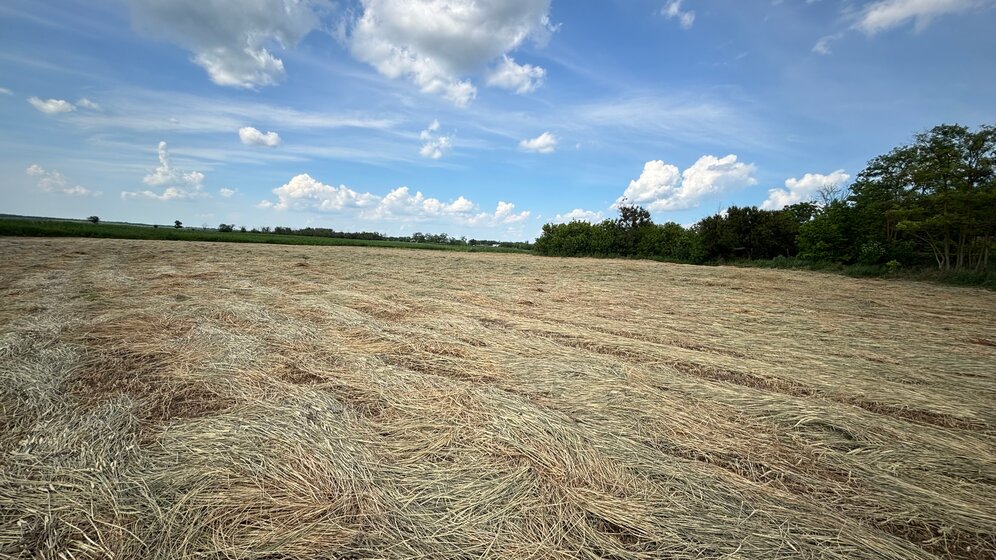 105 м² дом, 4 сотки участок 7 700 000 ₽ - изображение 31