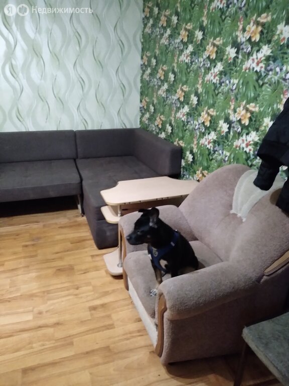 1-комнатная квартира: Рубцовск, Алтайская улица, 84а (31 м²)