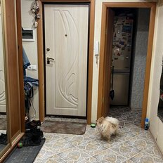 Квартира 64,8 м², 3-комнатная - изображение 3