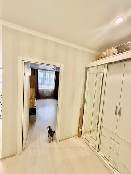 33 м², 1-комнатная квартира 10 500 000 ₽ - изображение 73