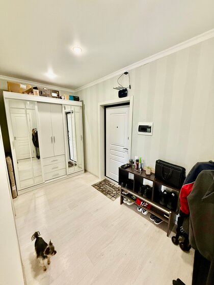 33 м², 1-комнатная квартира 10 500 000 ₽ - изображение 70