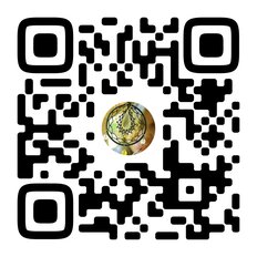 Квартира 60 м², 2-комнатная - изображение 4