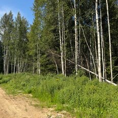 4 сотки, участок - изображение 1