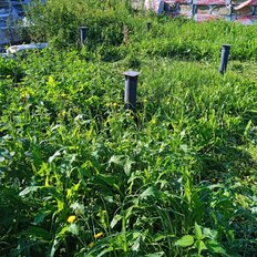 6 соток, участок - изображение 4