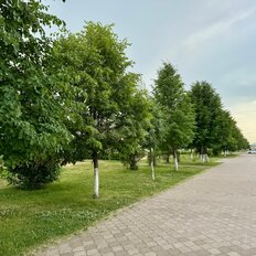 Квартира 63,3 м², 2-комнатная - изображение 1