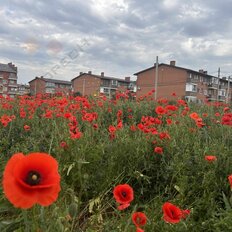 Квартира 35 м², 1-комнатная - изображение 1