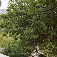 Квартира 50 м², 2-комнатная - изображение 3