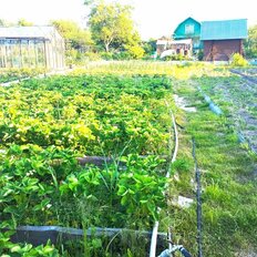 дом + 9,8 сотки, участок - изображение 5