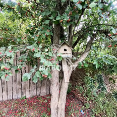 дом + 5,8 сотки, участок - изображение 5