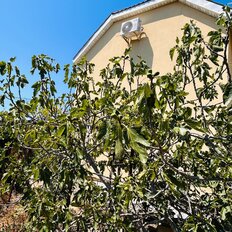 дом + 4,3 га, участок - изображение 2