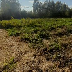 8 соток, участок - изображение 1