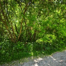 7 соток, участок - изображение 5