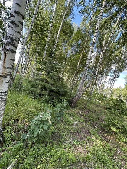 68,3 м², 2-комнатная квартира 20 114 350 ₽ - изображение 21