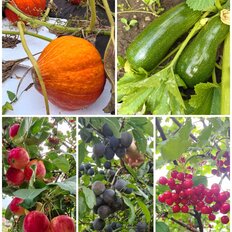 дом + 6 соток, участок - изображение 2