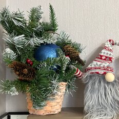 Квартира 27 м², студия - изображение 1