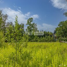 50 соток, участок - изображение 5